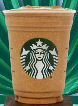 Starbucks Protein Cold Brew Coffee
