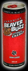 Beaver Buzz: DAM GOOD?